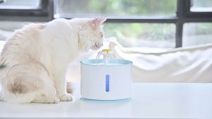Water Dispenser Tempat Minum Anjing Kucing Fountain 2.4 Liter