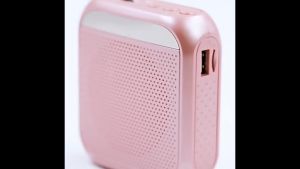 Portable loud speaker with microphone voice amplifier wireless class bluetooth speaker suitable for teacher