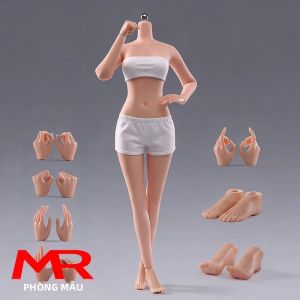 Mô Hình Nhân Vật Hành Động Nữ ANT T302 Tỷ Lệ 1/6 12 Inch Thân Màu Da Nhạt/nâu Rám Nắng Có Thể Tháo Rời Ngực Lớn Khung Xương Thép Dành Cho Người Sưu Tầm