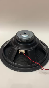 Loa bass 30 MATIN từ 100 côn 39.5 gân mút - tiếng khá ấm - giá 1 cái