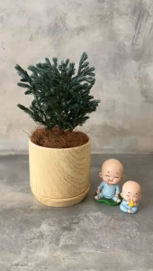 Wood Sticker Round Ceramic Pot Desktop Potted Fleshy Flower Pot Colorful Porcelain Flower Pot GF 8149