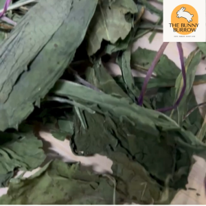 Dried Dandelion Leaves Digestive & Cooling Treat for Rabbits Chinchillas & Hamsters (30g)