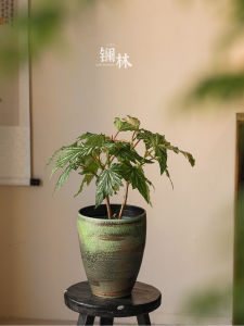 LANLIN | Handcrafted Green Ceramic Pot Plant Pot for Orchid Succulents