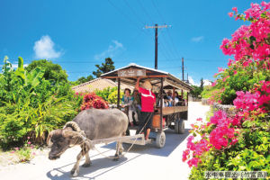 LuLuLun Face Mask Okinawa (Prefecture in Japan) Shell Ginger Scent 5 Sheets【Direct from Japan】