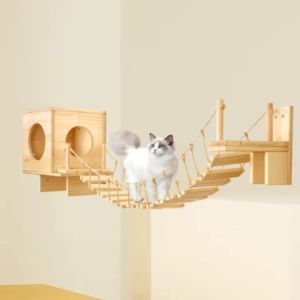 playground rumah kucing dinding