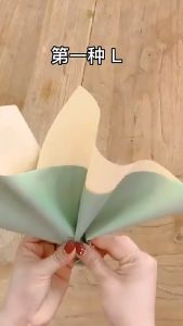 Kertas Buket Bunga Twotone White Flower Wrapping Paper Cellophane KB6204