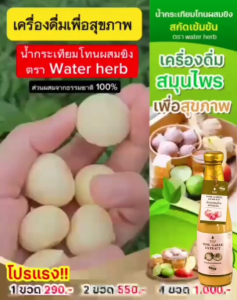 น้ำกระเทียมโทน สกัดเข้มข้น ของมะนาว 2 ขวด 550 มล, 1 ขวด 300 มล