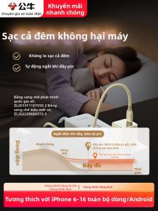 Bull | Fast Charging Universal Phone Charger Auto-off GaN Technology