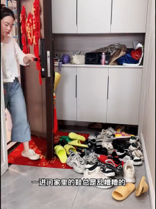 Shoe Cabinet | Home Doorway Shoe Rack | Dust-Proof Shoe Rack | Sturdy and Durable | Multi-Layer Large Capacity