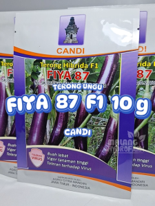 Benih Terong Ungu Fiya 87 F1 7 gram cap Candi unggul bibit biji aubergine purple lonjong hydroponik hidroponik sayur sayuran toleran virus