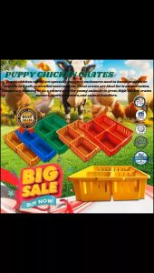 GTS PUPPY CHICKEN CRATES SOLD PER PIECE WATER RESISTANT FOR DAY OLD CHICKENS(factory direct sales)