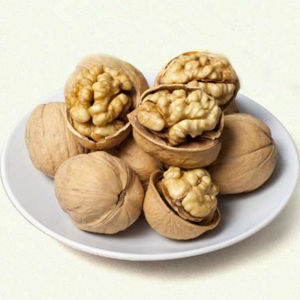 New Stock Xinjiang Special Thin Shell Walnut 500g Original Flavor Leisure Snack Dry Fruit Paper Shell Nut from Akesi Region