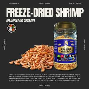 Freeze Dried Shrimp / ZHIYANG Antarctic Krill 🦐✨
