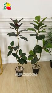 1 PAKET TANAMAN HIAS PLASTIK POHON KETAPANG AESTHETIC DAUN SINTETIS KARET KEBO 11 METER RB6120 DAUN TROPIS FICUS ELASTIS HIASAN SUDUT RUMAH TOKO AB