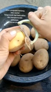 Pisau Pengupas Kulit Buah Sayuran: Alat Kupas Fruit Peeler Sayur Serbaguna