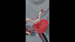 Sepeda Anak Perempuan 12 Inch & Mini 12 Unity Kuda Pony Ban Pompa