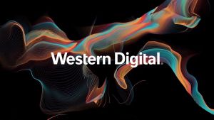 Western Digital WD RED PRO NAS 3.5" 7200RPM 256MB SATA-III CMR Desktop Internal HDD Hard Disk (4TB6TB8TB10TB12TB)