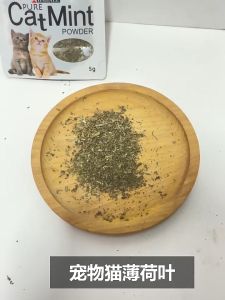 catnip snack hewan peliharaan kucing pelengkapan mainan hewan peliharaan