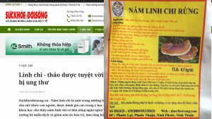 Công dụng của Nấm Linh Chi trong ngừa và chữa ung thư rất khả quan