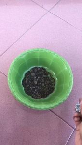 Magnet neodymium super kuat buruan order Ready Stok