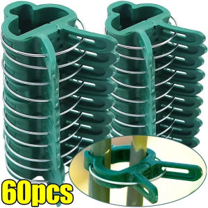 Dizoey 60PCS Plant Fixed Clips Reusable Garden Bracket for Tomato Cucumber Climbing Plants Vine Organizing Branch Support Clip Tools