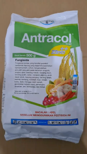 ANTRACOL 70 WP FUNGISIDA PENGENDALI PENYAKIT // ANTRAKOL FUNGISIDA