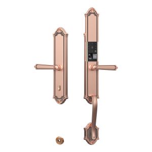 JINRONG | Copper Door Fingerprint Lock Smart Home Security Lock