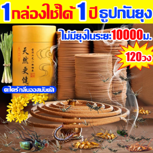 🦟ธูปฆ่ายุงตายได้กลิ่นแล้วตาย🌸 ธูปกันยุงสมุนไพร ตาย10000ยากันยุงแบบขดมีอย.รับรอง ไม่มีอันตราย ธูปไล่ยุง ผลิตจากวัสดุธรรมชาติ ยากันยุงแบบธูปของ แบบขด120วง ธูปสมุนไพรกันยุง ฆ่าแมลง ธูปสมุนไพรไล่ยุง เช่นกัน ดับกลิ่นเหม็น ช่วยหลับ ยากันยุงแบบจุด12ชม