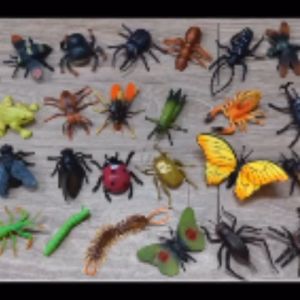Mainan Edukasi Anak Binatang Serangga Karet Set Figurin Insect Figure Mainan Hewan Tawon Kupu Belalang Laba Capung2