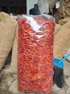 ( 5kg ) cabe teja kering tanpa tangkai super pedas