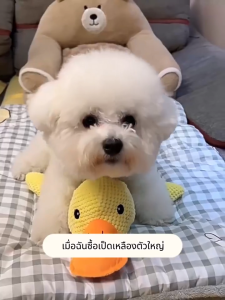 Dulepig ตุ๊กตาบีบๆนุ่มนิ่มมีเสียงมีเสียง ของเล่นแมว ของเล่นสุนัขขนาดใหญ่ อุปกรณ์เสริม สําหรับฝึกสุนัขขนาดเล็ก ตุ๊กตากัดเล่นสุนัข