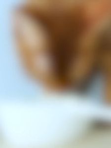 Goats Milk Chewable Tablets 100g Nutritionals Multivitamin for Cat Probiotics Calcium