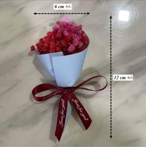 Mini Dried Baby Breaths Flower Bouquet Mini Baby Breaths Bunga Kering Door gift bouquet