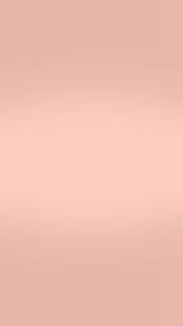 HANASUI Poreless Mattifying Primer 20g | Primer wajah | Base Makeup