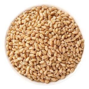 LEIHETANG | Ganmai Dazhuo Tang Herbal Ingredients Set 500g