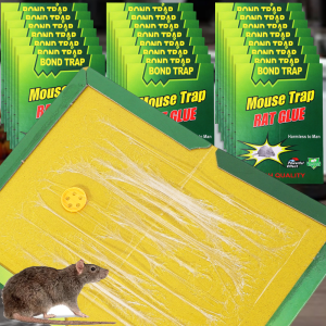 S/L Strong Sticky Mouse Board / Large Size Rat Glue Rubber Sheet / Rodent Snake Bait Trap Catcher