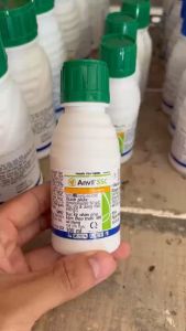 Thuốc Anvil 5SC trừ nấm hồng rỉ sắt sương mai lưu dẫn Anvil 5SC xanh dày lá (Hàng Syngenta)