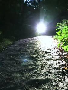 90 °   Đèn LED Làm Việc Từ Tính Có Thể Xoay Được USB Có Thể Sạc Lại Đèn Pin Di Động COB Cho Xưởng Sửa Chữa Ô Tô Khẩn Cấp Màu Đen