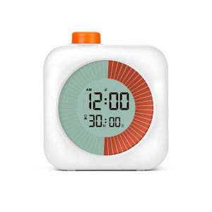 Silent Timing Multi-Function Timer