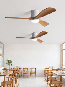 KAIRUI | Modern Silent Inverter Ceiling Fan Light