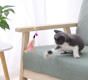 Lowest Price🔥Cat Toy Cat Teaser Stick Toys For Pet Cat Interaction Mainan Kucing