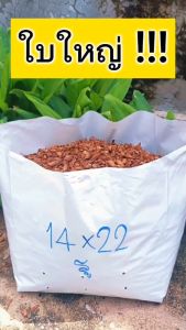 ถุงเพาะชำสีขาว ขนาด 14x22 นิ้ว 30กก. ไม่เจาะรู /กระสอบ