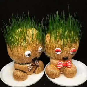 Best store Grass Head Room Decor Children Growing Grass Doll Toys Indoor Office Table Plant Decor