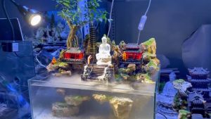 Nhà mini 2 mái - phụ kiện trang trí bể cá tiểu cảnh sân vườn hòn non bộ