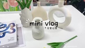 【HHarbour】แจกันพลาสติก Nordic พลาสติกแจกันดอกไม ้ ไม ่ สม ่ ําเสมอออกแบบตารางแจกัน ของแต่งบ้าน