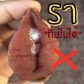 ลูกพลับแห้ง ลูกพลับ 500g (柿饼500克) พร้อมส่ง ลูกพลับมีรสหวานธรรมชาติ เหนียวนุ่มหนึบ เต็มลูก อร่อยเน้น ๆ และมีประโยชน์ต่อร่างกายอีกมากมาย. 