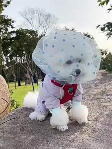 Mũ Che Mõm Chống Cắn và Liếm cho Chó