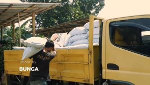 Pupuk media tanam pak tani// Media Tanam Pak tani kemasan besar 10 kg// 15 kg//pak tani hijau dan pak tani merah