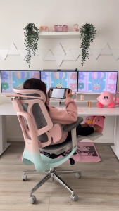 Hbada E3 Pro Ergonomic Office Chair (Pink)- with 3-Zone Dynamic Lumbar Support 4D Adjustable Headrest & 6D Armrests | Mesh Gaming Chair