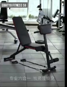 Premium Foldable Gym Workout Bench (With Arm Rest for Preacher Curl exercises) Dumbbell Weight Exercise Home gym bench.